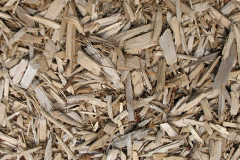 biomass boilers Windydoors